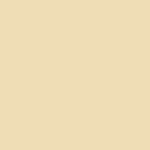 GOBI - L3 - Light with warm undertones, and yellow tone